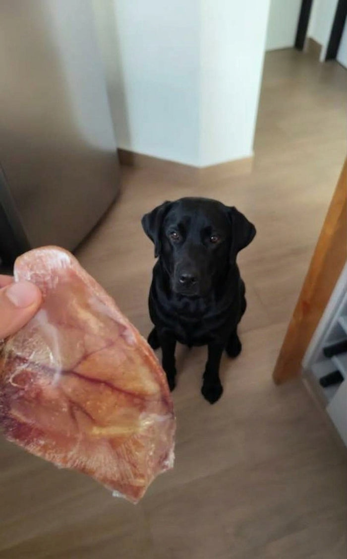 Foto de Mora, 4 años