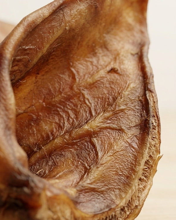 Detalle de la textura de una oreja de cerdo deshidratada